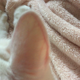 ふみふみの画像