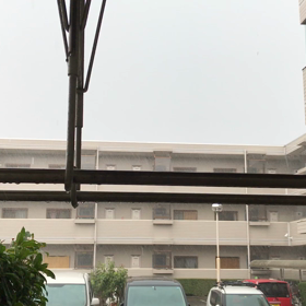 おいお  い〜雷雨だよ〜の画像