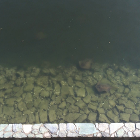 気休めブログの画像