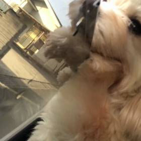 今日もアタチ一緒だよ。の画像