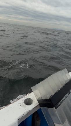 釣れねぇ〜の記事動画