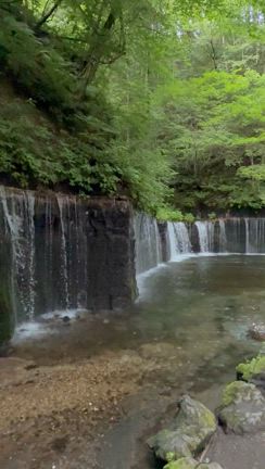 お誘い頂き軽井沢へ小旅行。の記事動画