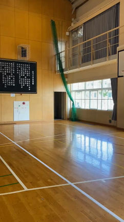 バズるってスゴイの記事動画