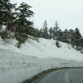 志賀草津高原ルート～雪の回廊 その3の画像