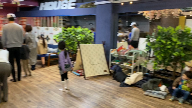 だるまさんがころんだ、英語バージョン⁉️の記事動画