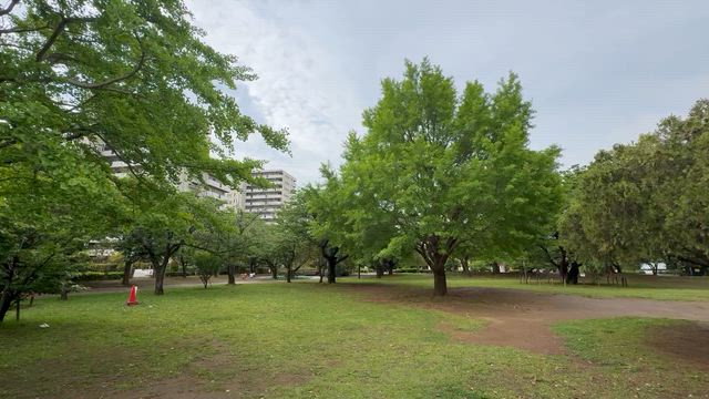 不正開票選挙　期日前投票箱を開けて、票を盗みとる市役所公務員　の記事動画