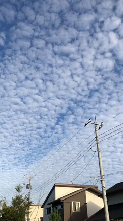 怪しい雲♪の記事動画
