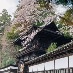 こんな日は、室内で過ごすには勿体無い❣️の画像
