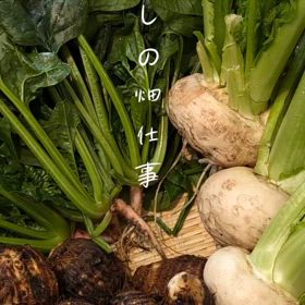 2024/11/20の画像