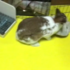 今日のふづきちゃんの画像