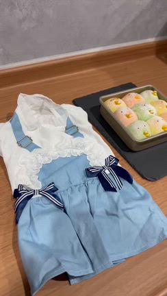 麿・美夜、抹茶、トノ、ロータス＆お引渡しの記事動画