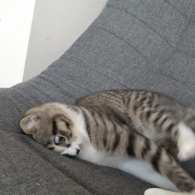 ある日のもも♡の画像