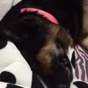鼻ティシュwwwの画像