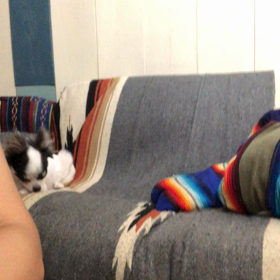 ハイテンチョンかーろの画像