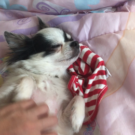 浜辺のビール♩の画像