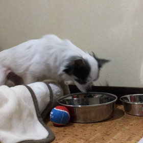 2日目の画像