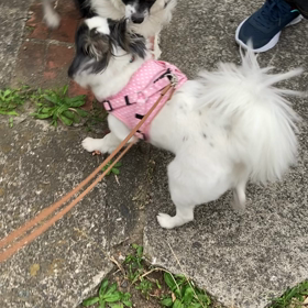 いとしのダーリン❤️の画像