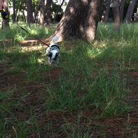 いい場所発見の画像