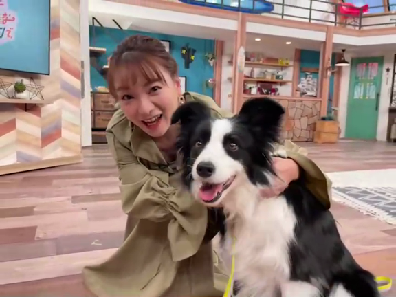 スロイジの記事動画