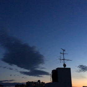 清らかなる。。の画像