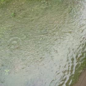 豪雨の画像