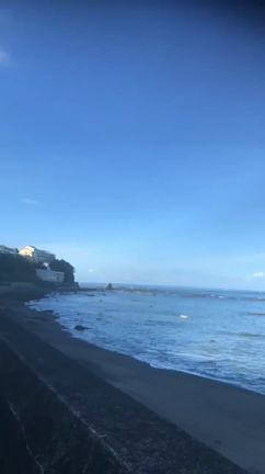 おはようございますの記事動画