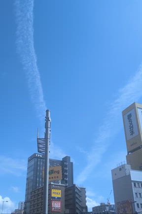 【✨️空に現れた双龍】それは特別な日の前日　ー1037ーの記事動画