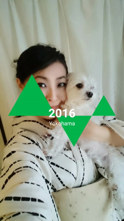 Thank you 2016の記事動画
