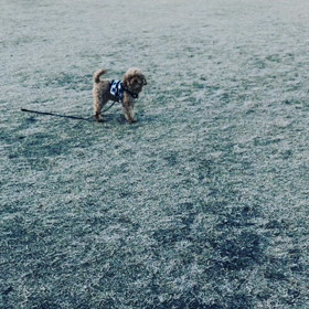 (^｡^)の画像