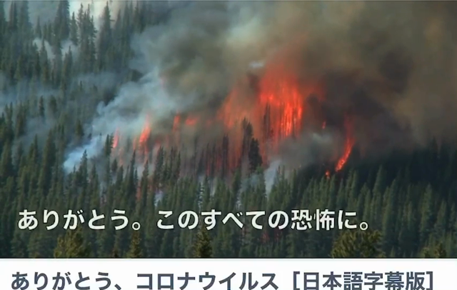 世界中に笑顔という名の花を咲かせるミッションの記事動画