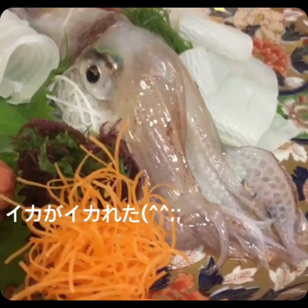 続・時には起こせよムーブメント！の記事動画