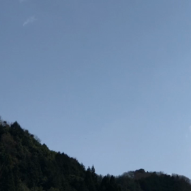 令  和２年4月2日現在  満開の画像