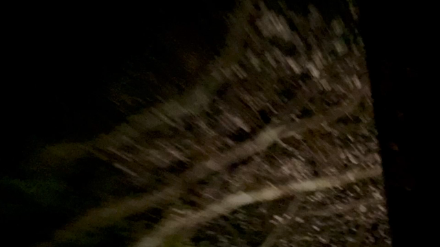 春録の記事動画
