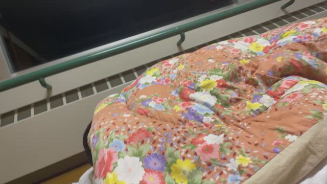 見た目は大人、心は子供の記事動画