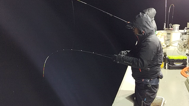 12月19日イカ釣りの記事動画