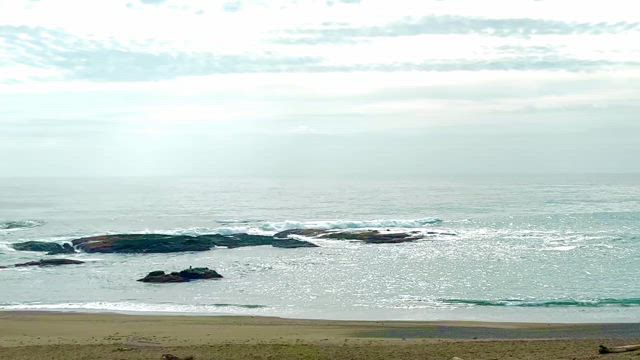 海の浄化エネルギーの凄さの記事動画