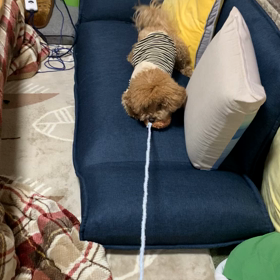 ハッピーの画像