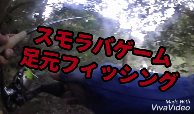 ３月7日釣行！静岡野池！！の記事動画