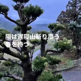 2024/02/05の画像