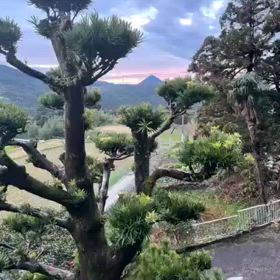2024/01/31の画像