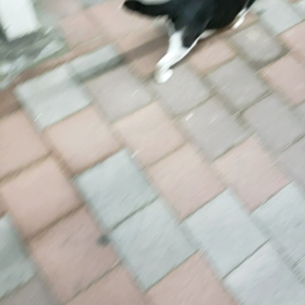 ツンモード?の画像