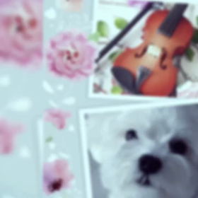 音楽に癒されての画像