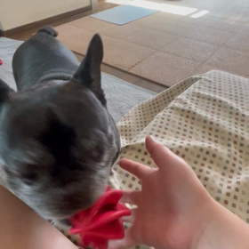 昨日の続きー動画の画像