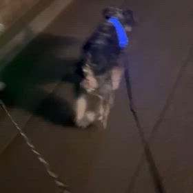 結構な雨の画像