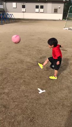 コーチの息子の記事動画