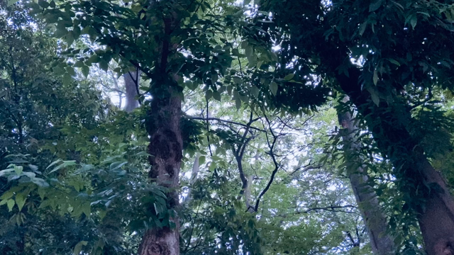異次元の扉が開くときの記事動画