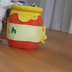 スーパーボールの画像