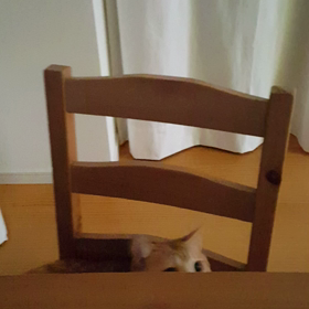 台拭きあるあるの画像