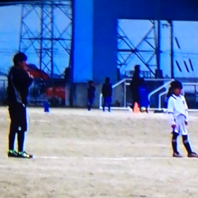 U11大会の画像