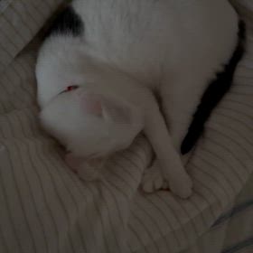 失敗→成長の画像